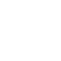 DMC-System-icon