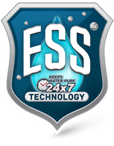 Technology description ESS Technology
