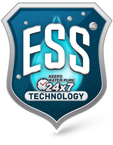 Technology description ESS Technology