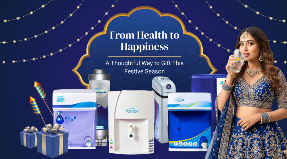 A Thoughtful Way to Gift This Festive Season - ZeroB